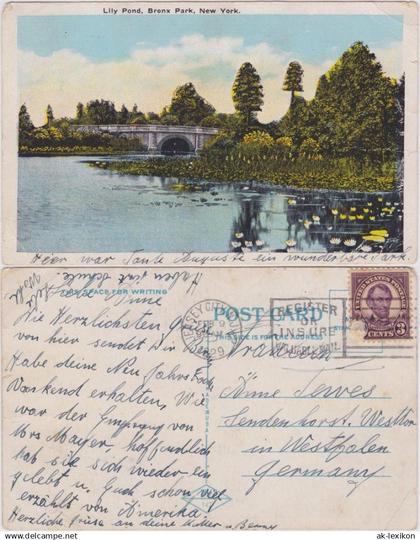 Vintage Postcard Ansichtskarte New York Bronx Lily Pond, Bronx Park 1929
