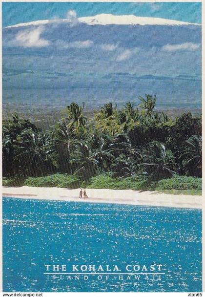 Big Island of Hawaii, Kohala Coast Beach Scene c1980s Vintage Postcard