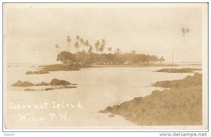 Coconut Island near Hilo Hawaii, c1910s Vintage Real Photo Postcard