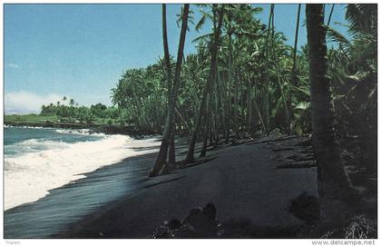 Kalapana - Black sands beach