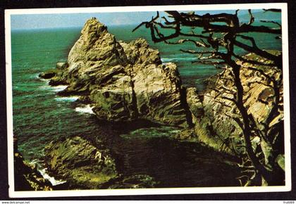AK 07855 USA - California - Big Sur - Point Lobos