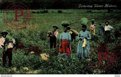 GATHERING WATER MELONS  Black Americana   afro americana coleccionblack