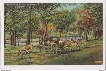 USA BRIDGEPORT CONN. Deer Yard at the Zoo, Beardsley Park, Vintage 1940s Postcard (68777)
