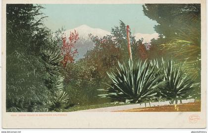 USA ca. 1910/20 superb mint coloured pc "Snow Peaks in Southern California"