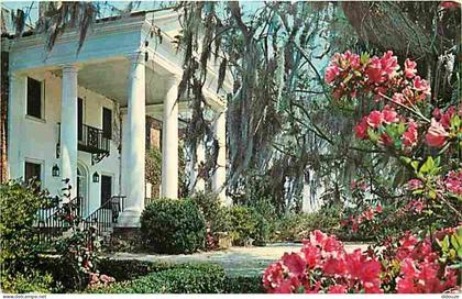 Etats Unis - Charleston - Boone Hall Plantation - CPM - Voir Scans Recto-Verso