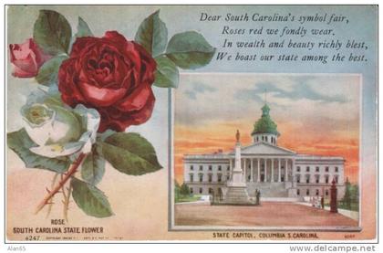 South Carolina State Capitol Building , State Flower Rose, Columbia SC on c1910s Vintage  Postcard