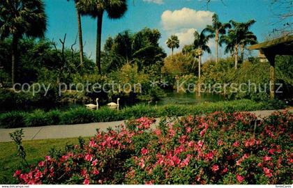 72630117 Tampa Florida Busch-Gardens