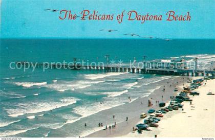 73131832 Daytona Beach Pelicans aerial view