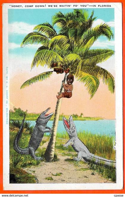 CPA Post Card United States ...IN FLORIDA FL (Humour)