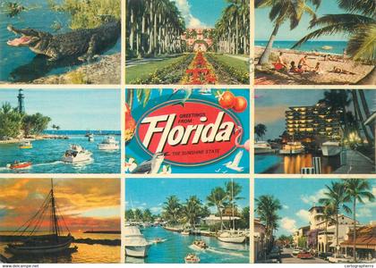 Postcard USA FL Florida multi view Sunshine state lighthouse croc yacht