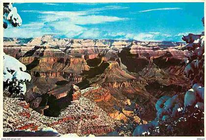 Etats Unis - Grand Canyon - Grand Canyon National Park - CPM - Voir Scans Recto-Verso