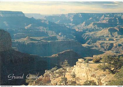 Etats Unis - Grand Canyon - South Rim of the Grand Canyon - Etat de l'Arizona - Arizona State - CPM - Carte Neuve - Voir