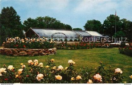 73130838 Davenport Iowa Municipal Rose Garden Vanderveer Park Roses