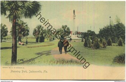 Florida - Jacksonville - Hemming Park - Edition The Rotograph Co. N. Y. City 1904