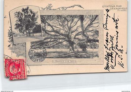 Usa - JACKSONVILLE (FL) Live Oaks, Forsythe Street - Mammoth Live Oak - PRIVATE MAILING CARD