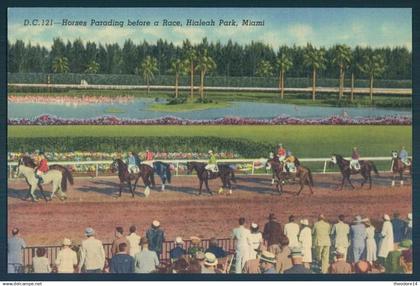 FL Florida Horses parading Miami Race Course Hippique Chevaux