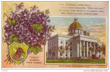 Montgomery AL Alabama State Capitol Building, Violet State Flower, c1910s Vintage Postcard