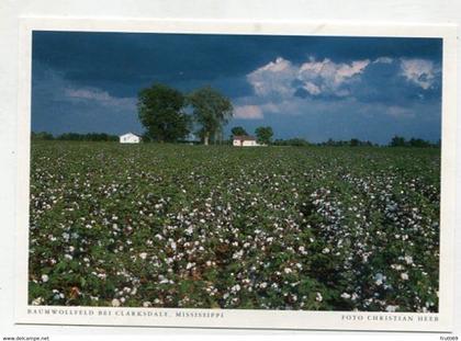 AK 072554 USA - Mississippi - Baumwollfeld bei Clarksdale