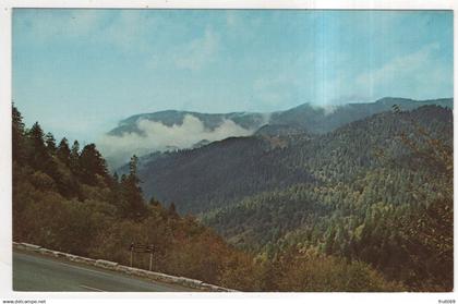 AK 227232 USA - North Carolina / Tennessee - Great Smokey Mountains National Park - looking into Tennesee ...