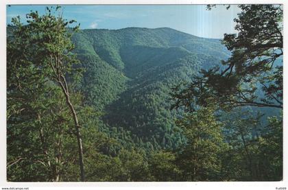 AK 227512 USA - North Carolina - Great Smokey Mountains National Park - view from U.S. 441 on the NC side of the Main Ra