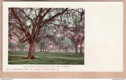 31951 / NEW-ORLEANS Louisiana-LA Old Duelling Ground City Park Copyright 1900 By DETROIT PHOTOGRAPHIC Co N°5816