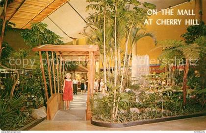 73123638 Cherry Hill On the Mall exotic tropical gardens