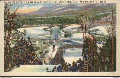 11028788 Adirondack Ski Jumper