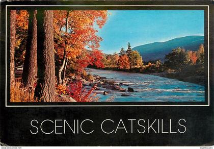 CPSM Grettings from Fleischmanns-Scenic Catskills   L714