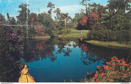 Postcard USA FL - Florida > Orlandoblossom time 1976