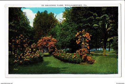 CPA - Carte Postale- USA- Williamsport (Pennsylvanie) --Brandon Park- S2894
