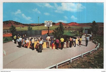 AK 235069 USA - South Dakota - Rapid City - Black Hills Reptile Gardens