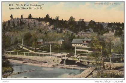 Spearfish South Dakota SD, US Fish Hatchery on c1910 Vintage Postcard