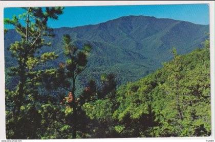 AK 018653 USA - Tennessee - Smoky Mountains - Mount LeConte