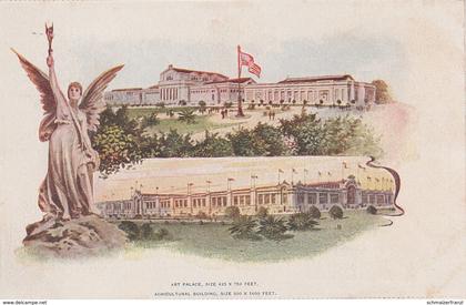 Litho AK St Louis World 's Fair 1904 Art Palace Agricultural Building Louisiana Purchase Exposition MO Missouri USA