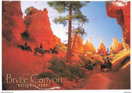 73961530 Bryce Canyon National Park Horses and mules take visitors into the Cany