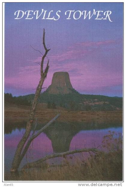 Devil's Tower WY Wyoming, National Monument, Geology, c1980s/90s Vintage Postcard