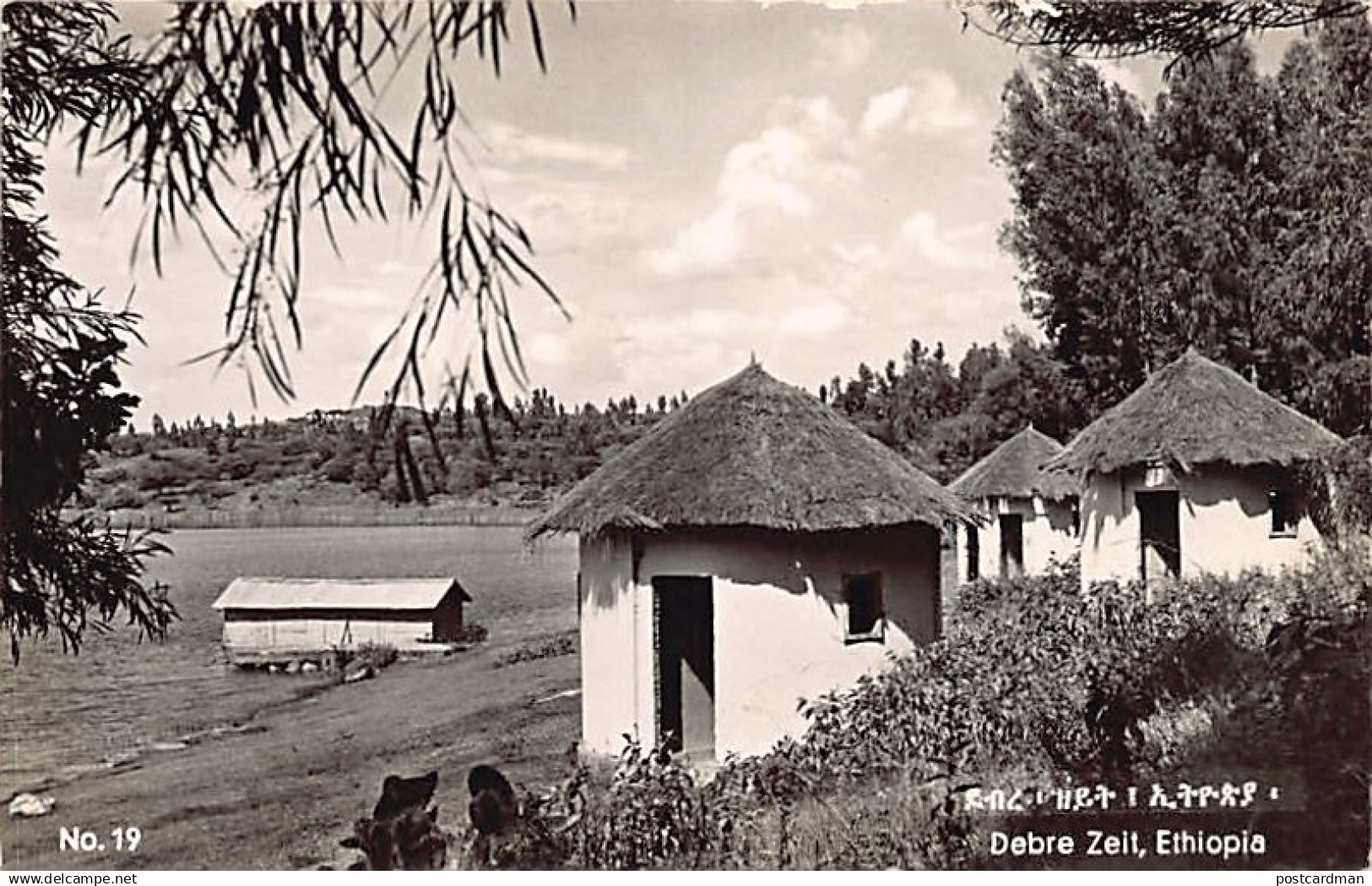 Ethiopia - Lake of Debre Zeir - Publ. George Talanos 19