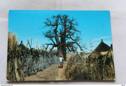 Cpm 1973, Baobab characteristic tree, Ethiopie