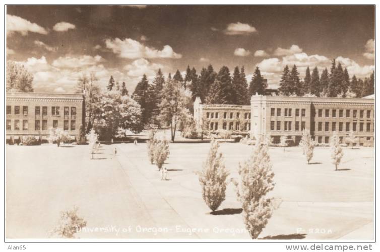 Eugene OR Oregon, University of Oregon Campus Buildings on c1940s Vintage Real Photo Postcard