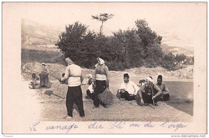 ¤¤   -   MACEDOINE  -  Carte-Photo   -  Le Vanage du Blé   -  Agriculture  -   ¤¤