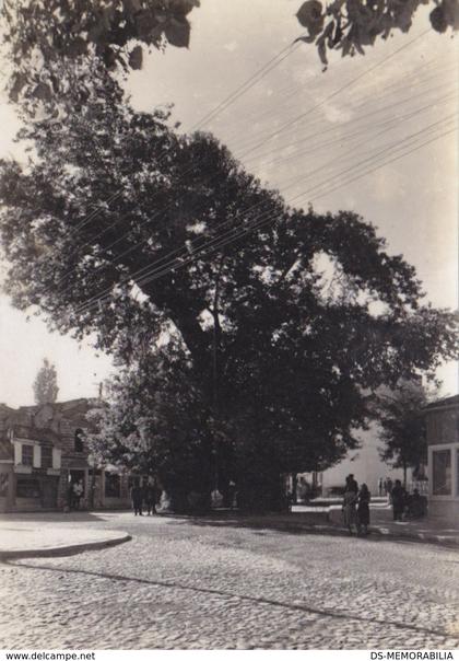 Ohrid - Cinar 1958