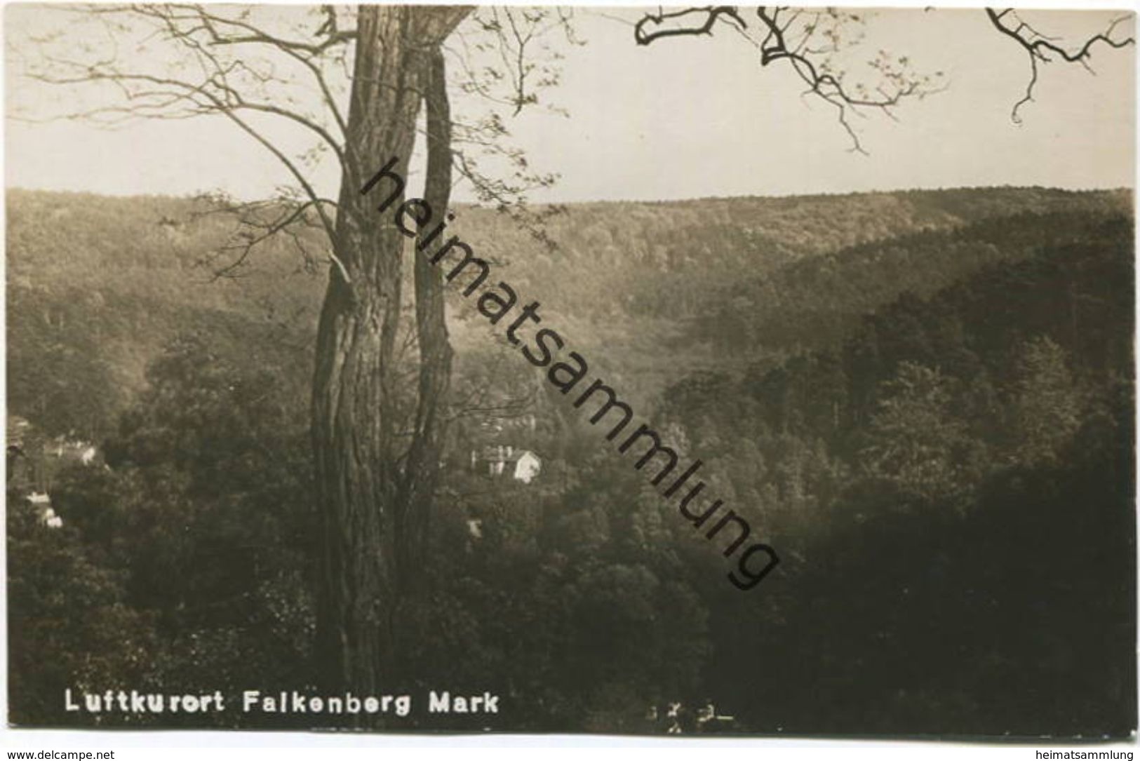 Falkenberg Mark - Foto-AK 30er Jahre - Verlag Max Weniger Falkenberg (Mark)