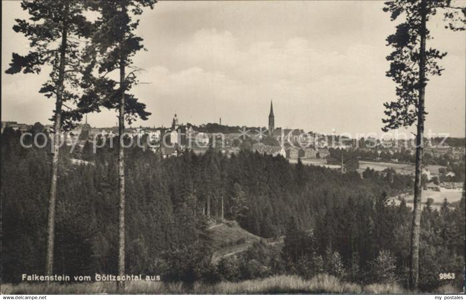 Falkenstein Vogtland Panorama