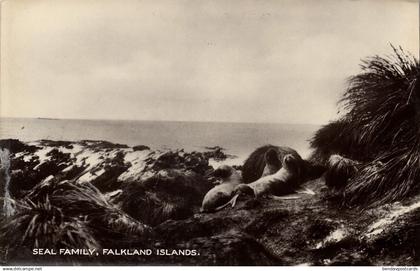 Falkland Islands, Seal Family (1930s) Les Hardy RPPC Postcard