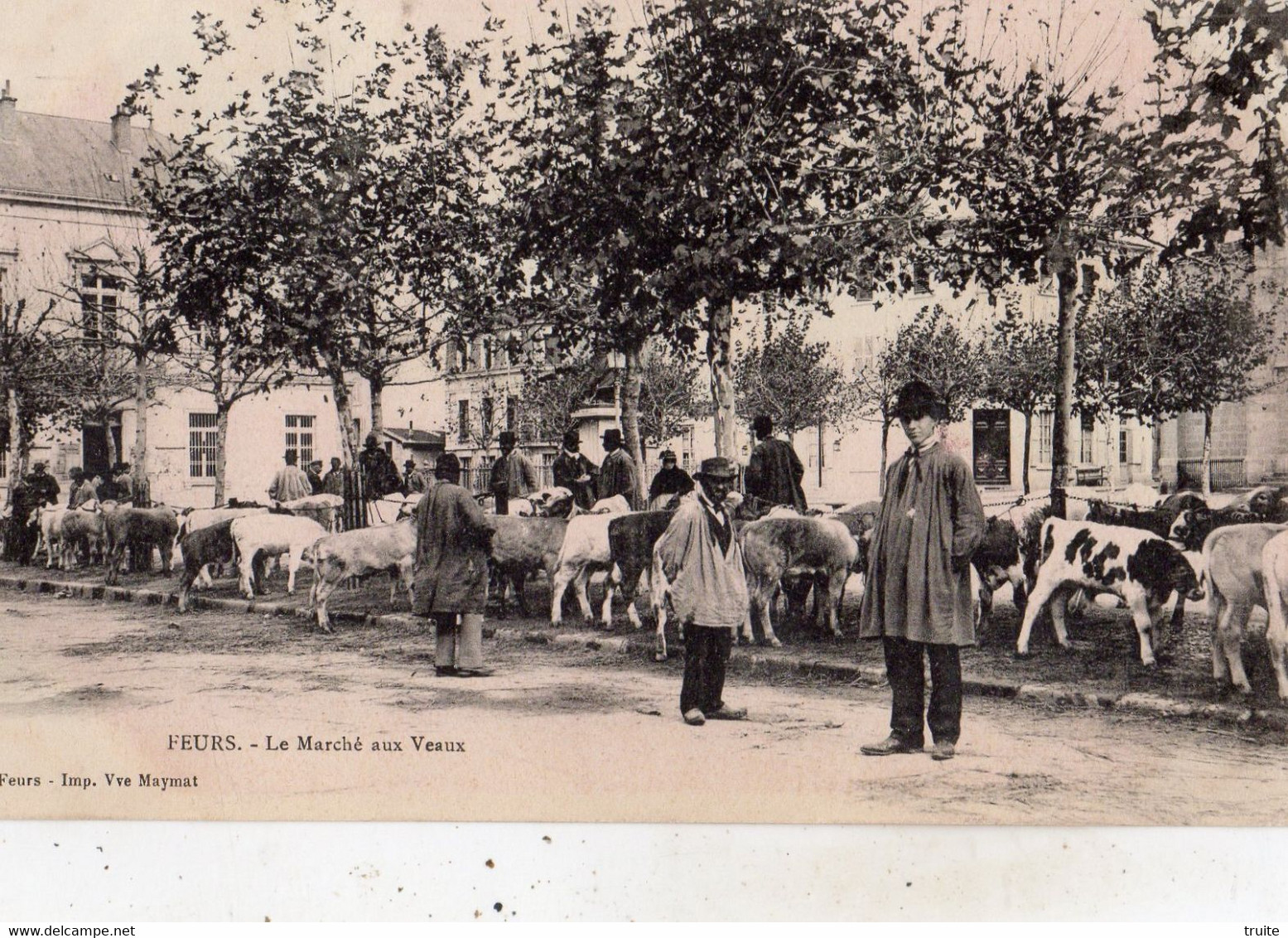 FEURS LE MARCHE AUX VEAUX