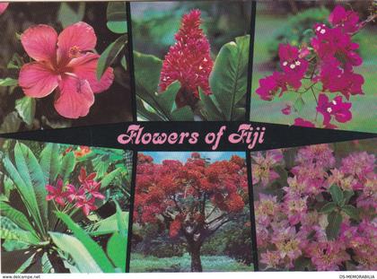 Fiji - Flowers of Fiji