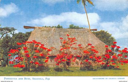 Fiji - SIGATOKA - Poinsettia and Bure - Publ. Charles Stinson 22