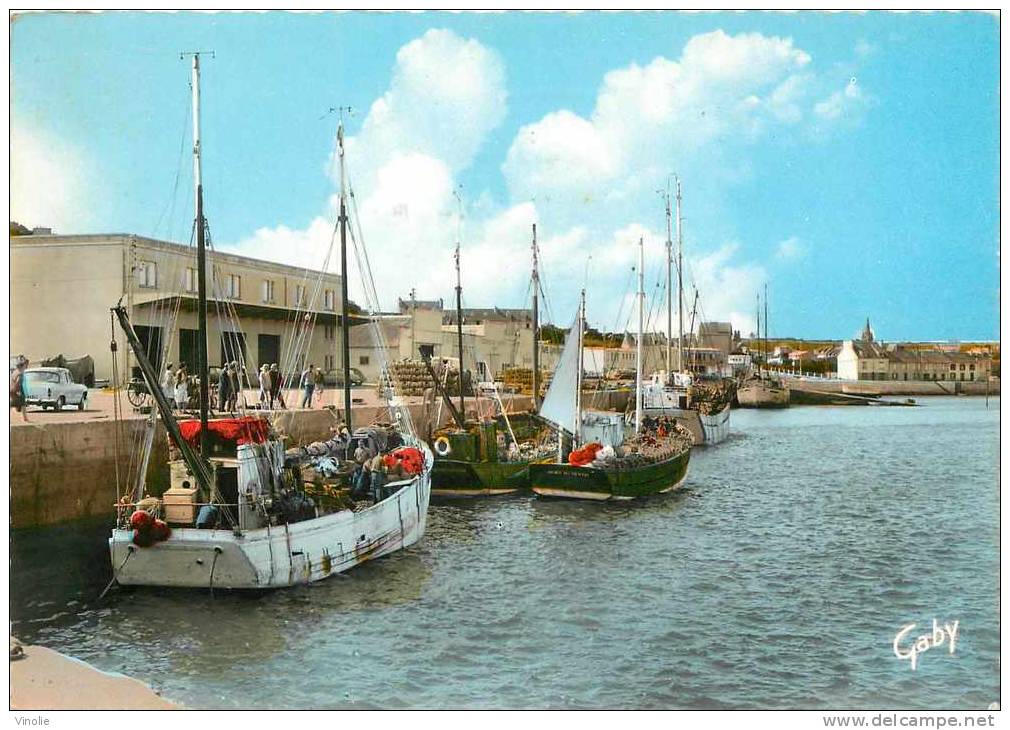 Finistère : réf : J-12-0066 : Camaret sur Mer bateaux de pêche