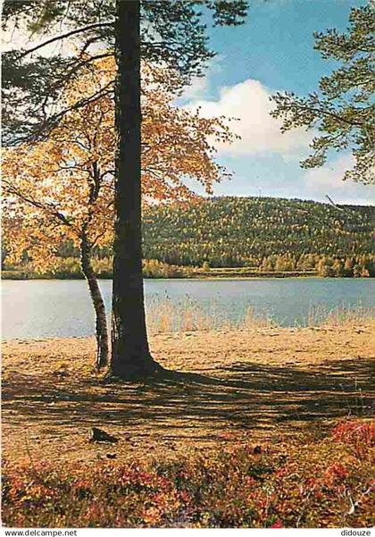 Finlande - Vuokatti - Lac - Foret - CPM - Voir Scans Recto-Verso