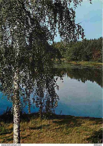 Finlande - Lac - CPM - Voir Scans Recto-Verso